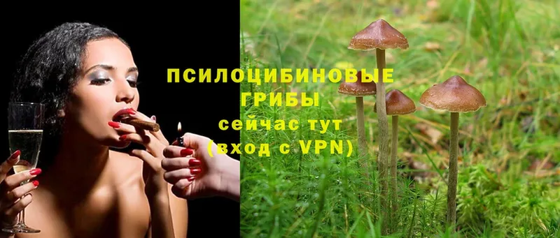 Галлюциногенные грибы Magic Shrooms  Ардон 